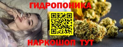 соль ск Рузаевка