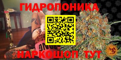соль ск Рузаевка